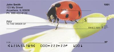 Ladybugs