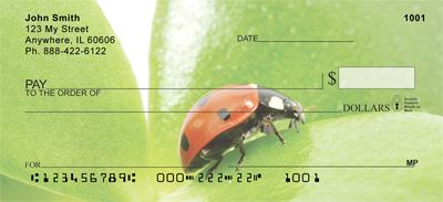 Ladybugs