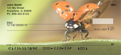 Ladybugs
