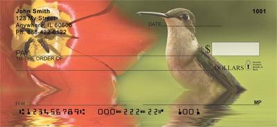 Hummingbirds