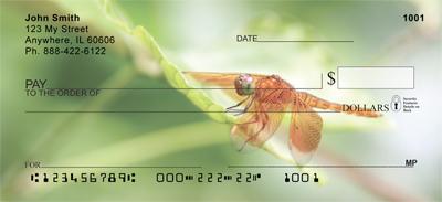 Dragonflies