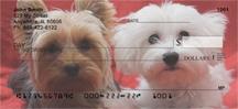 Cute Puppies