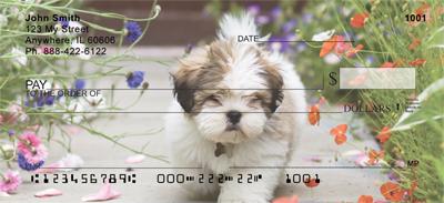 Cute Puppies