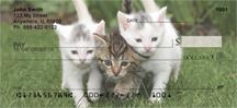 Cute Kittens