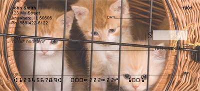 Cute Kittens