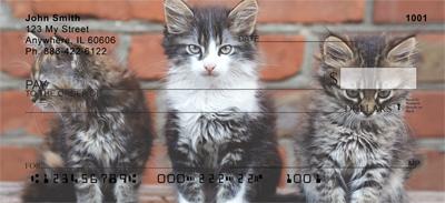 Cute Kittens