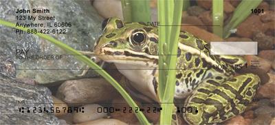 Frogs