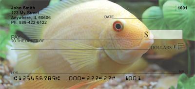 Tropical Fish