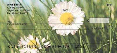Daisies
