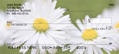 Daisies