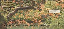 Four Seasons
