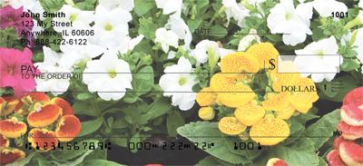 Garden Flowers