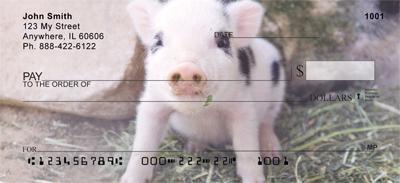 Baby Animals