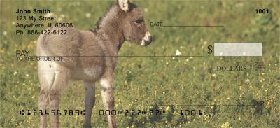 Baby Animals