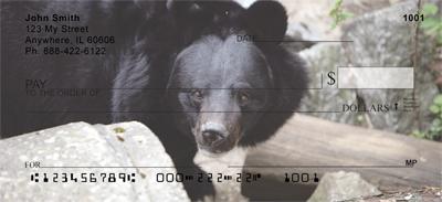 Black Bears