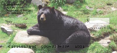 Black Bears