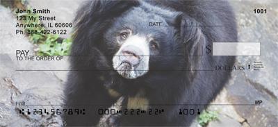 Black Bears
