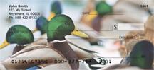 Ducks