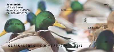 Ducks