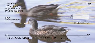 Ducks