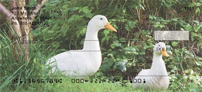 Ducks