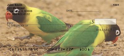 Parrots