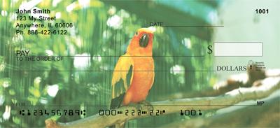 Parrots