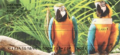 Parrots