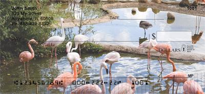 Flamingos