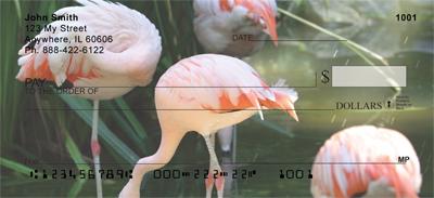 Flamingos