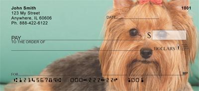 Yorkshire Terriers