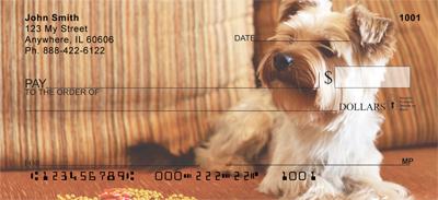 Yorkshire Terriers