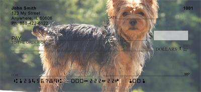 Yorkshire Terriers