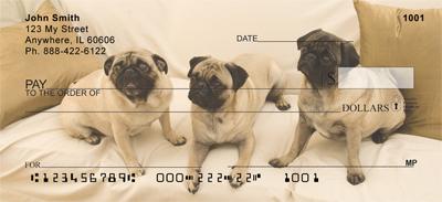 Perfect Pugs