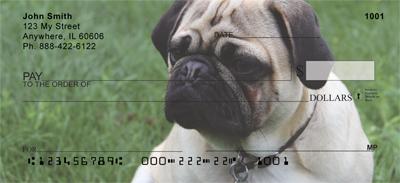 Perfect Pugs