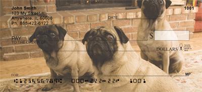 Perfect Pugs