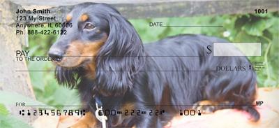 Diminutive Dachshunds