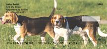 Adorable Beagles