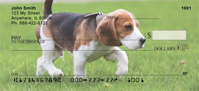 Adorable Beagles