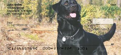 Black Labradors