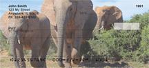 Elephants