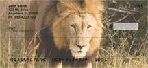 Lions