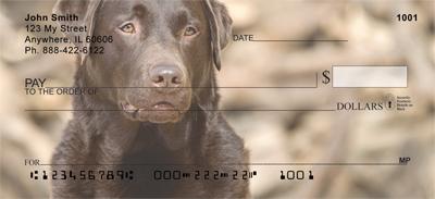 Chocolate Labs