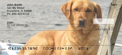 Yellow Labs