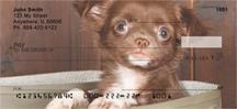 Chihuahuas
