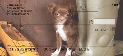 Chihuahuas
