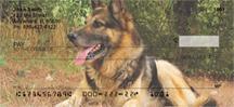 German Shepherds