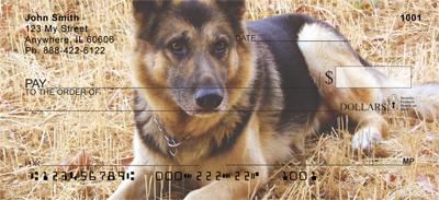German Shepherds