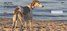 Greyhounds
