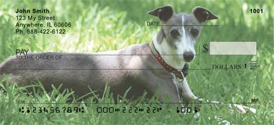 Greyhounds